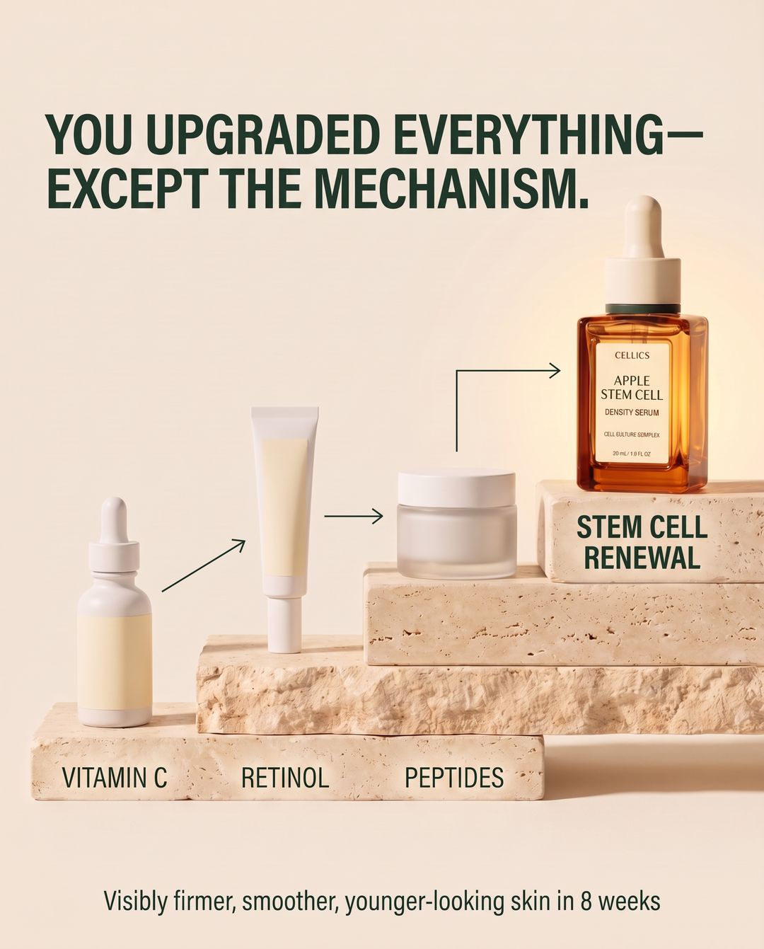Cellics Stem Cell Renewal Serum result